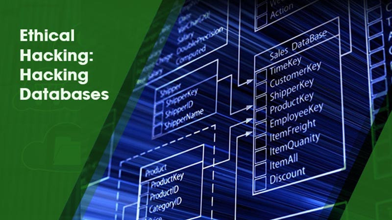 Ethical Hacking Hacking Databases