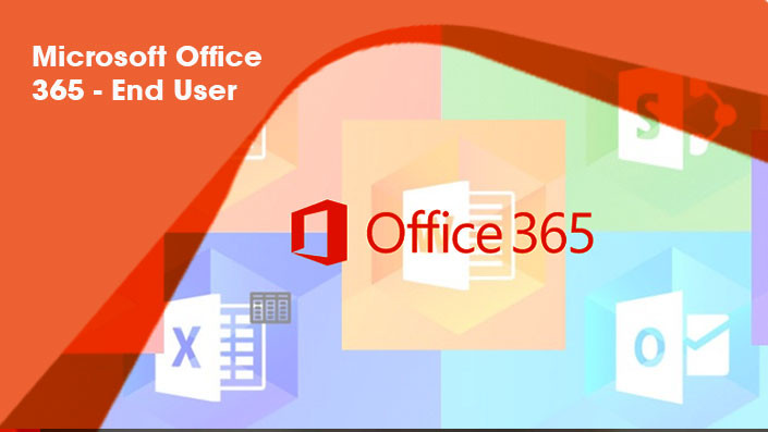 Microsoft Office 365 End Users