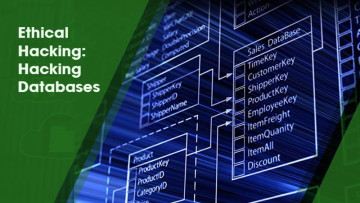 Ethical Hacking Hacking Databases